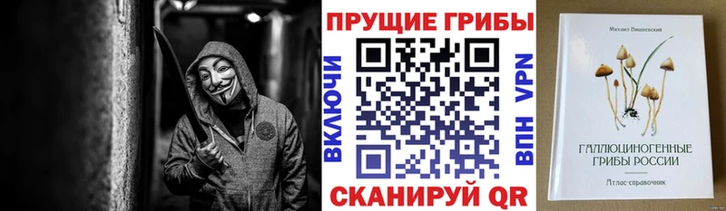 гидра ссылки  цена   Рудня  Галлюциногенные грибы мицелий 